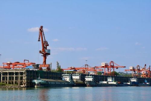 奮戰紅五月，瀘州水運吹響發展進軍號 碼頭建設與管理并舉，激活長江上游黃金水道