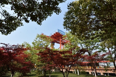 構筑長江濱江生態長廊 梅鋼打造全球鋼鐵業最綠工廠的碼頭建設與管理實踐