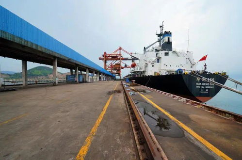 華電可門發電公司520云端約會 甜蜜聚焦碼頭建設與管理新篇章