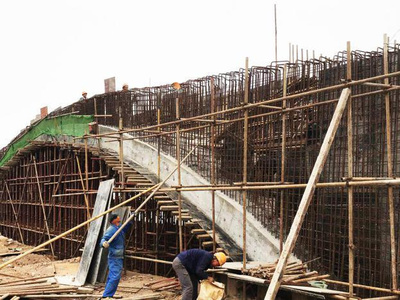 東湖綠道二期湖澤道五橋主體落成，再添城市生態新廊道